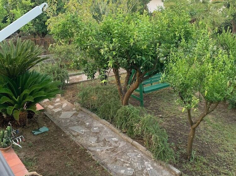 B&b Massico Apartments