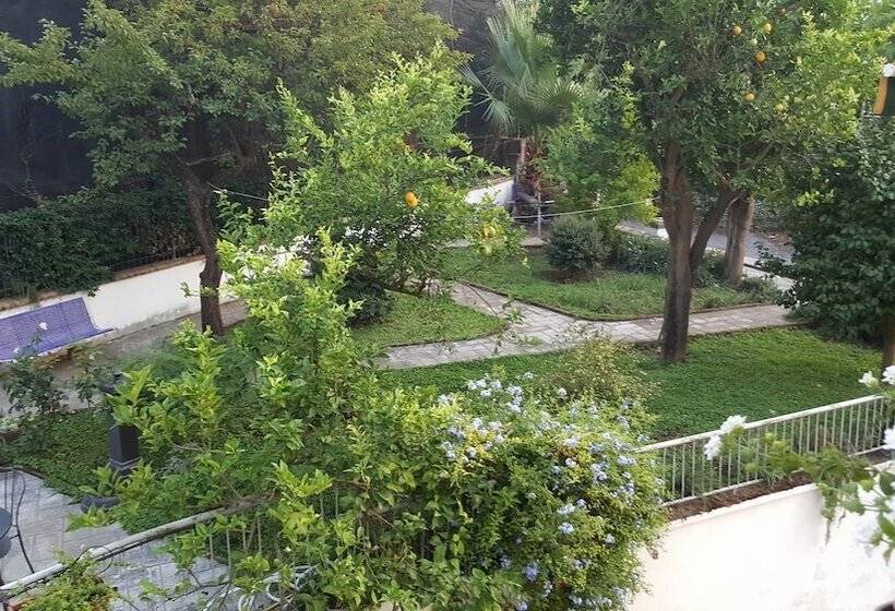 B&b Massico Apartments