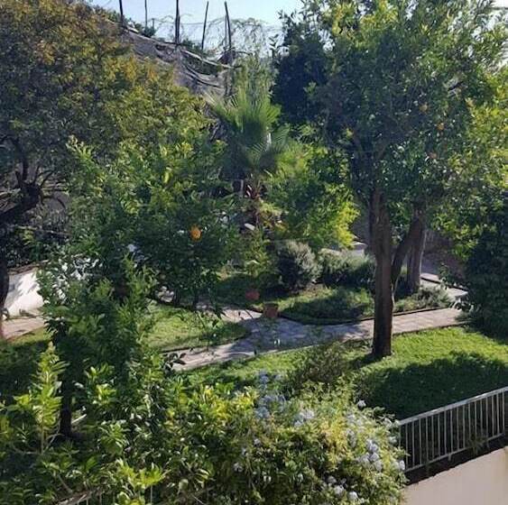 B&b Massico Apartments