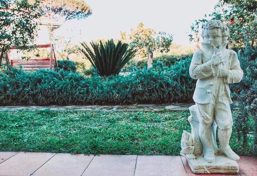 B&b Massico Apartments