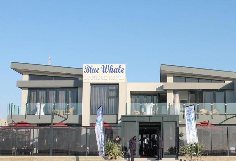Blue Whale Hotels