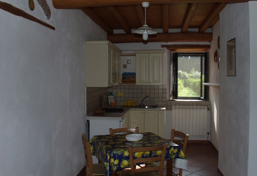 Codavolpe Giardino Di Tea