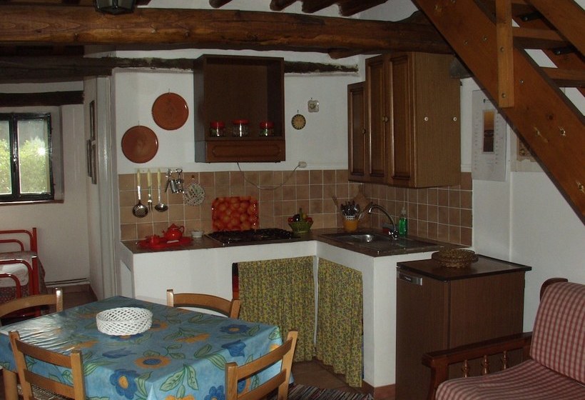 Codavolpe Giardino Di Tea