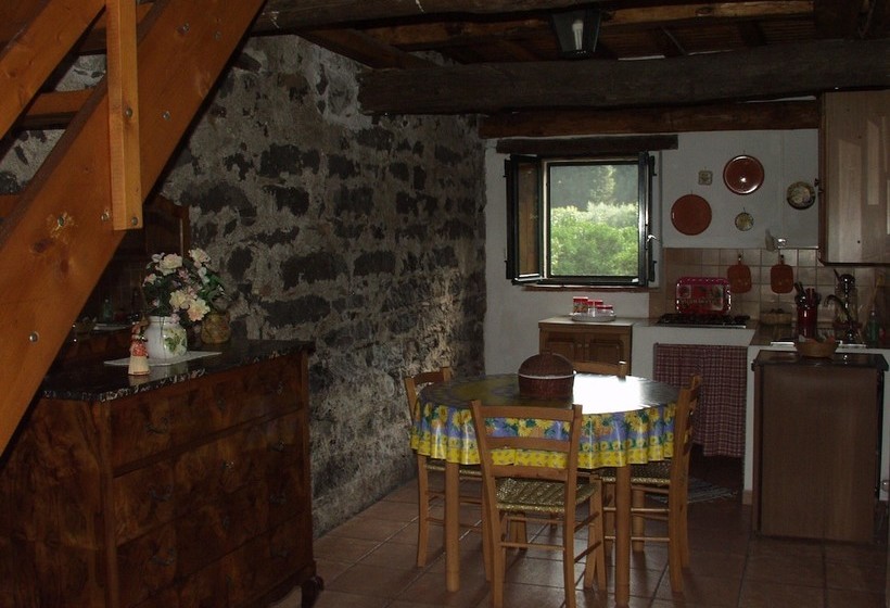 Codavolpe Giardino Di Tea