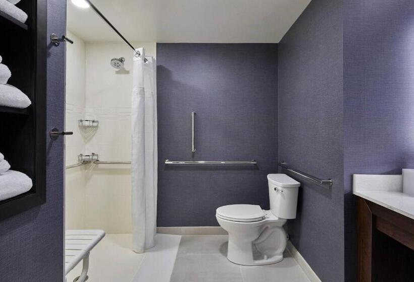 בית מלון כפרי Residence Inn By Marriott Albany Airport