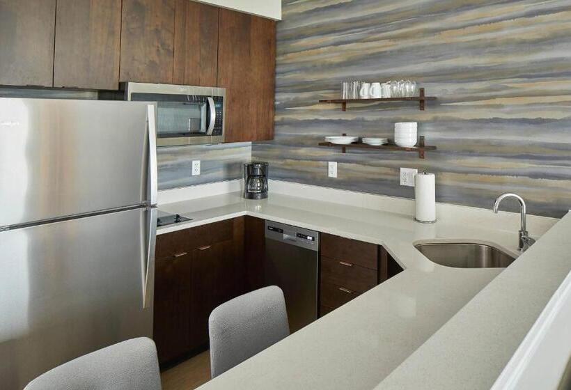 בית מלון כפרי Residence Inn By Marriott Albany Airport
