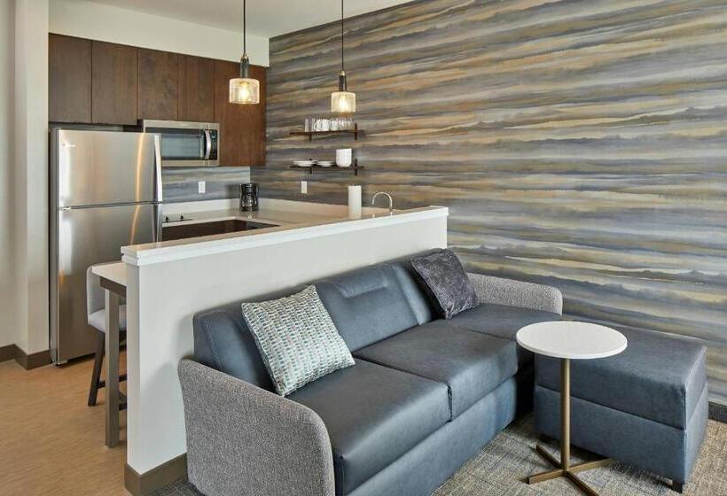 בית מלון כפרי Residence Inn By Marriott Albany Airport