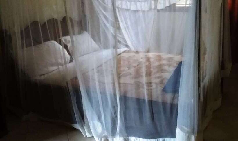 Palm Gardens Hotel   Masindi