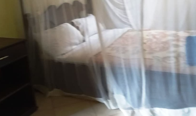 Palm Gardens Hotel   Masindi