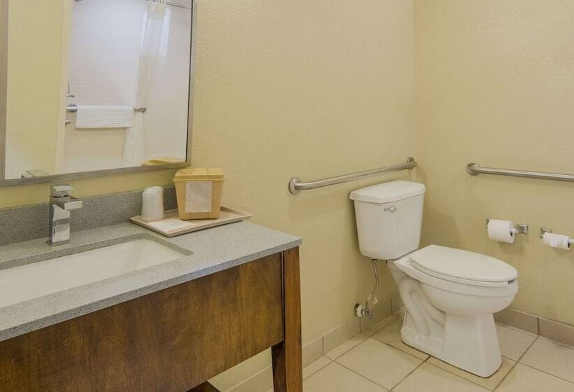 Отель Quality Inn & Suites Roanoke   Fort Worth North