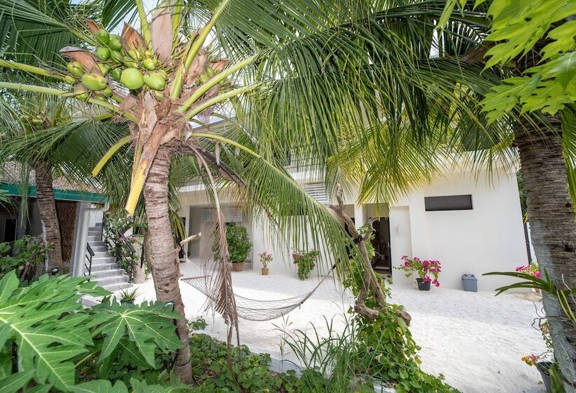 호텔 Tranquila Maldives