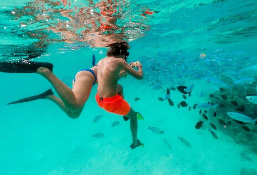 호텔 Tranquila Maldives