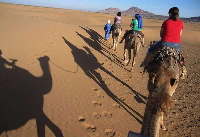 פנסיון Bivouac Sahara Relax