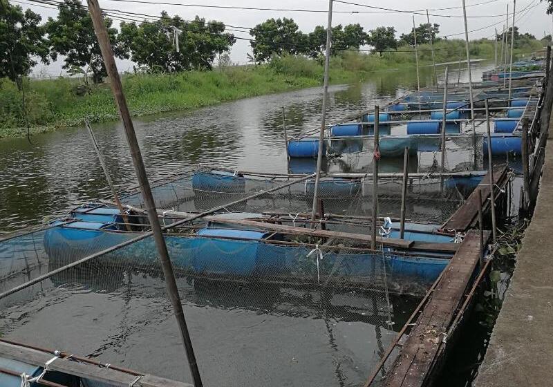 膳宿费 Happy Home Hostel Suvarnabhumi