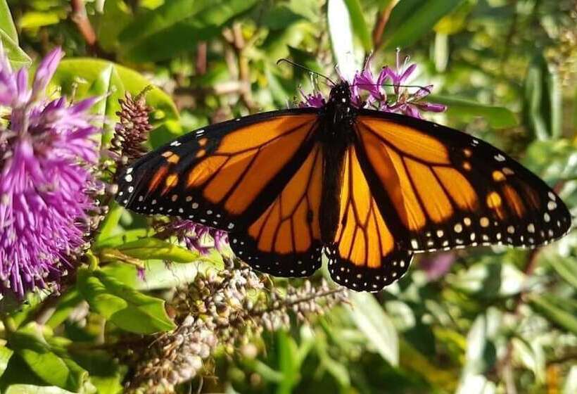 צימר The Jolly Poacher Retreat
