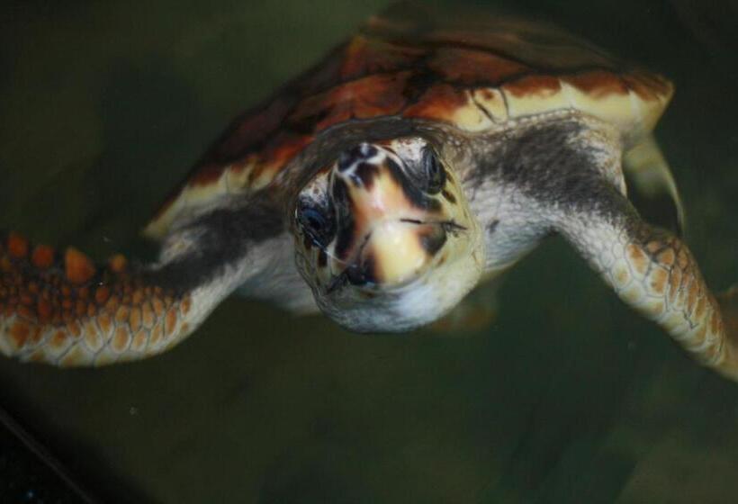 فندق Royal Rich Villa