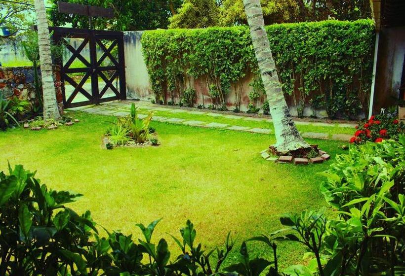 פנסיון Pousada Icthus