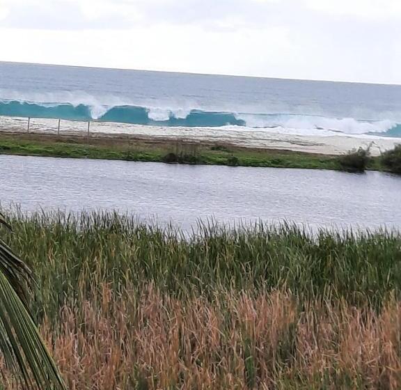 פנסיון Pousada Icthus