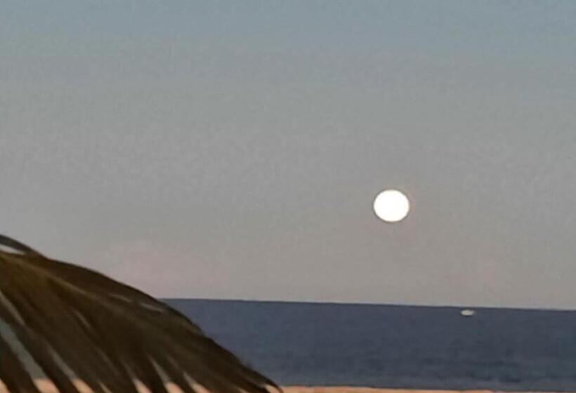 פנסיון Pousada Icthus