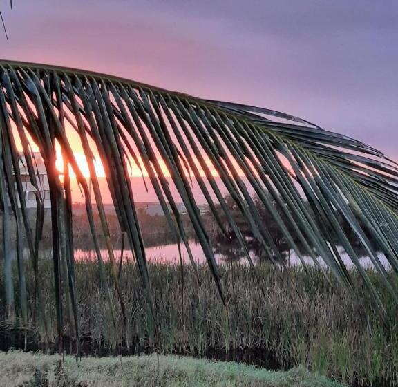 פנסיון Pousada Icthus