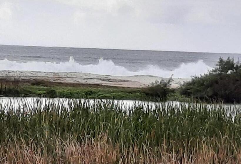 פנסיון Pousada Icthus