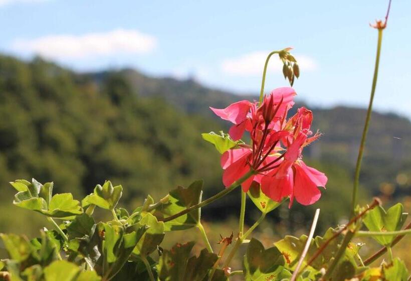 مبيت وإفطار Casale Santilli