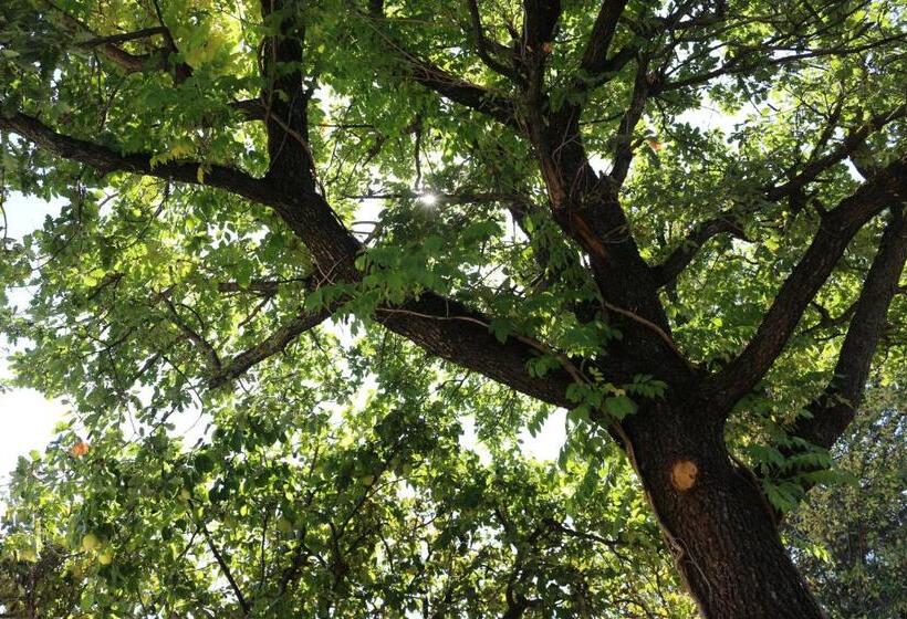 مبيت وإفطار Casale Santilli