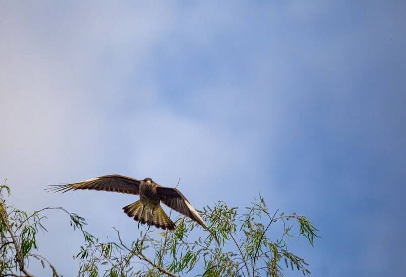 El Tránsito Hotel Boutique