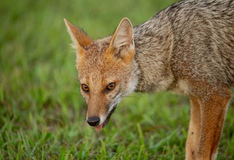 El Tránsito Hotel Boutique