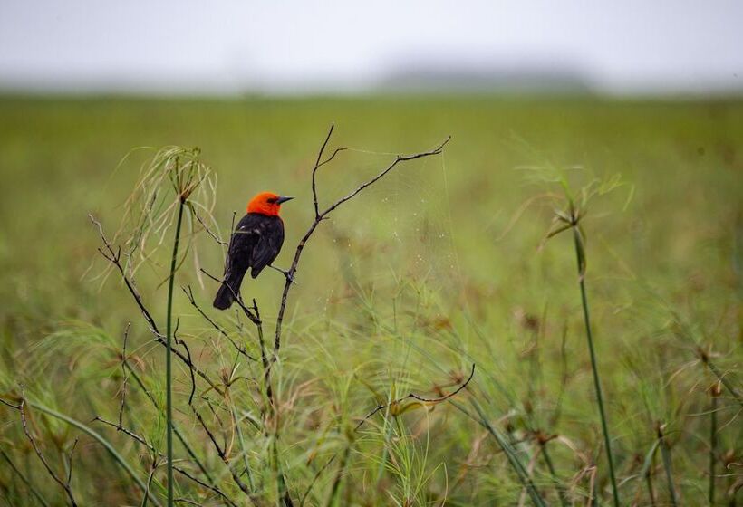 El Tránsito Hotel Boutique