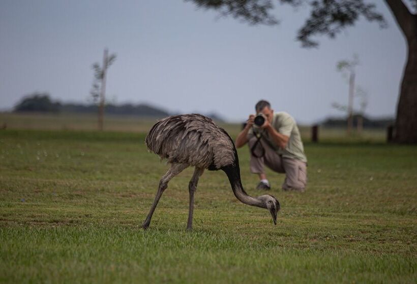 El Tránsito Hotel Boutique