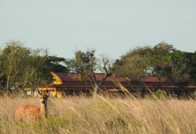 El Tránsito Hotel Boutique