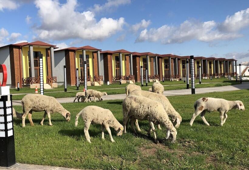 호텔 Green Garden House