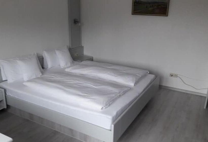 Hotelli Leiselheimer Hof