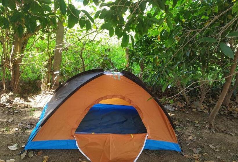 فندق The Pushkar Flower