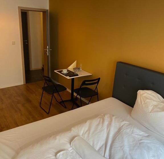 Pension Michelangelo