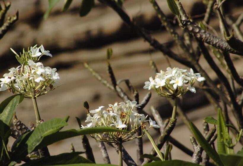 호스텔 Escondite Pacifico