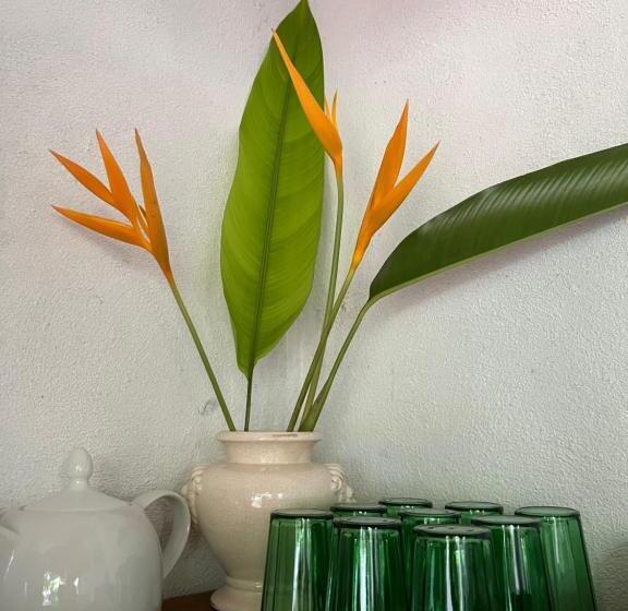 בית מלון כפרי Jungle Villa