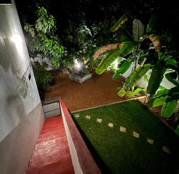 בית מלון כפרי Jungle Villa