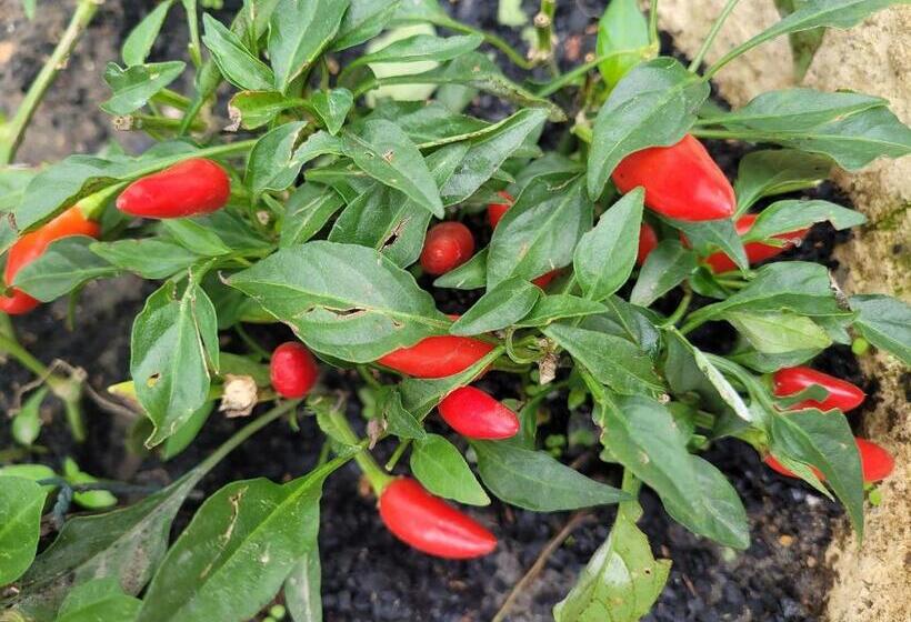 펜션 Barbieri Beach