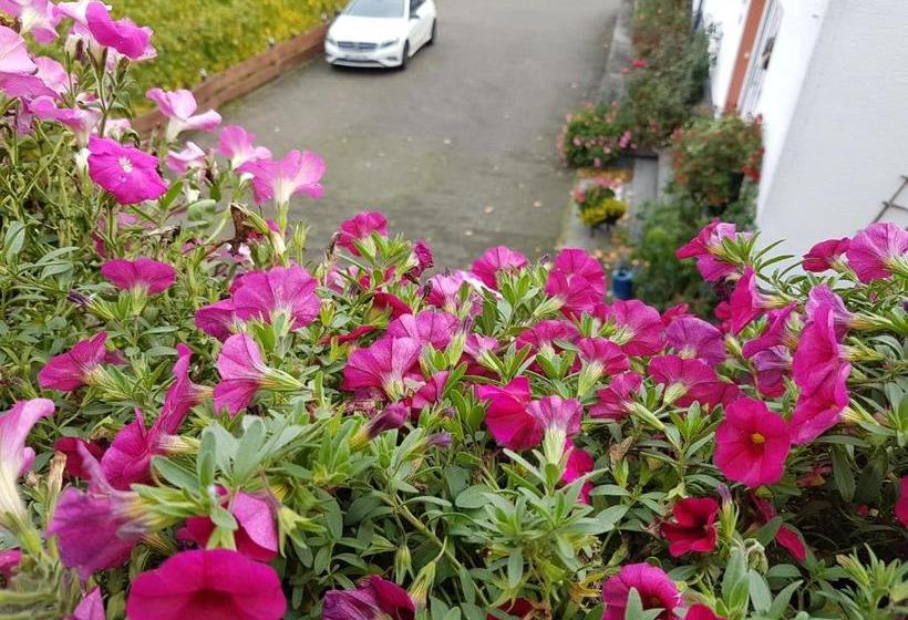 ペンション Ferienweinhaus Römer Knodt