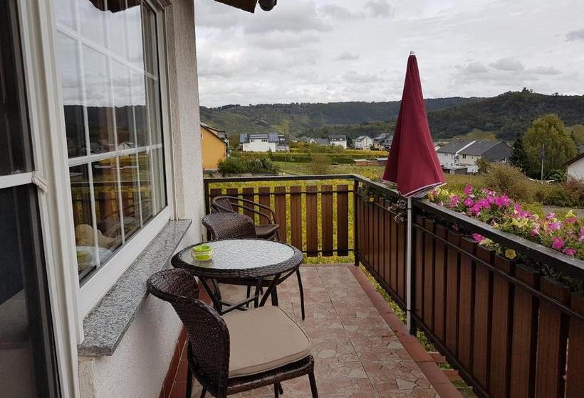 ペンション Ferienweinhaus Römer Knodt