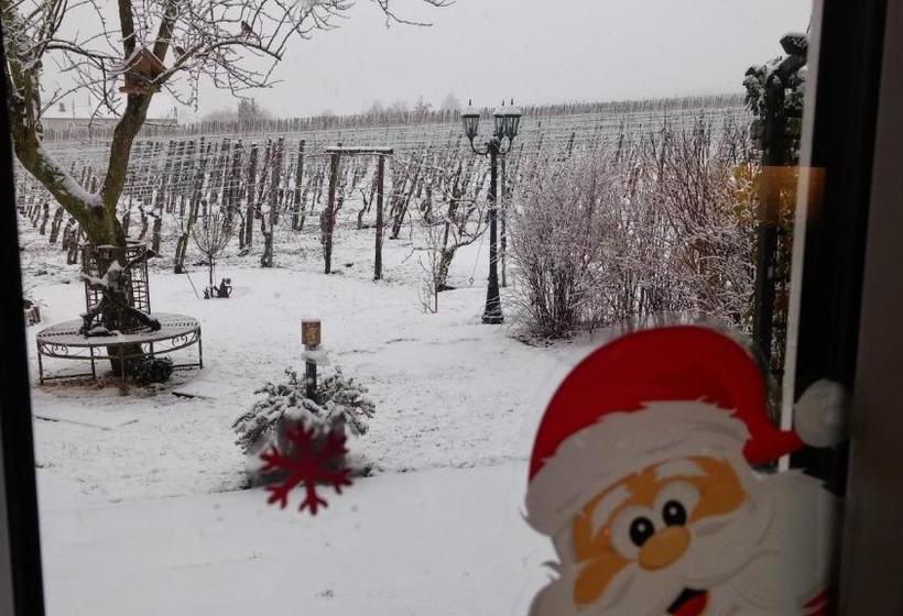 ペンション Ferienweinhaus Römer Knodt