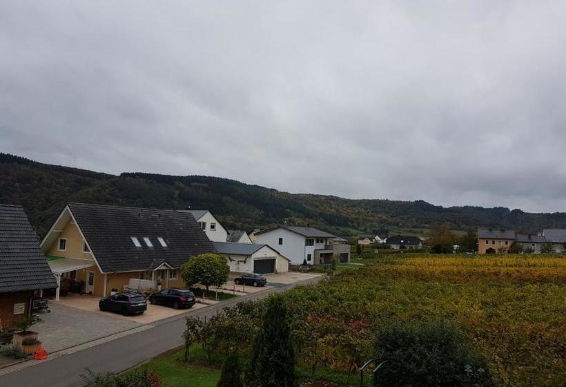 ペンション Ferienweinhaus Römer Knodt