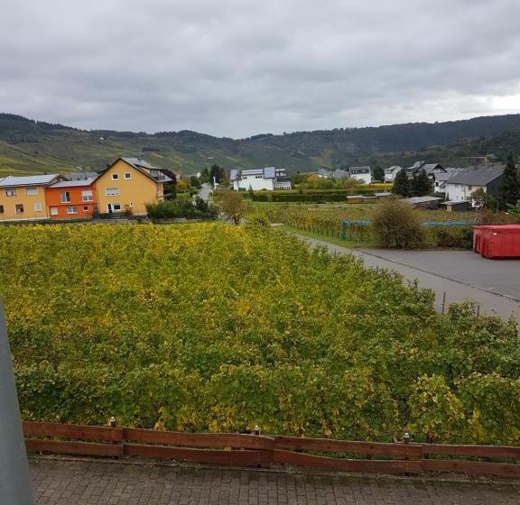 ペンション Ferienweinhaus Römer Knodt