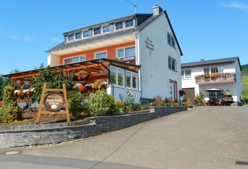 ペンション Ferienweinhaus Römer Knodt