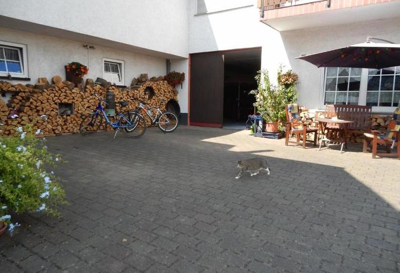 ペンション Ferienweinhaus Römer Knodt