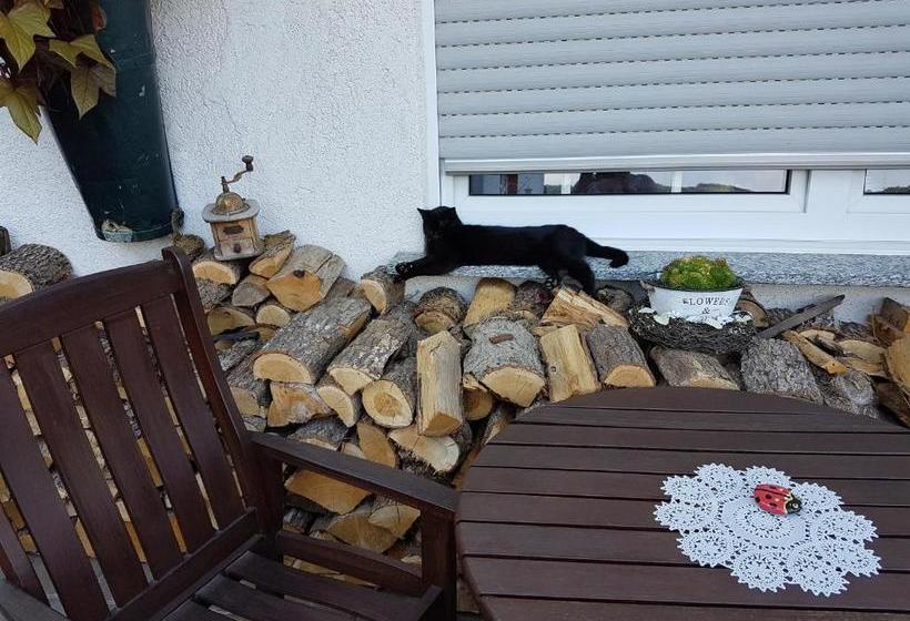 ペンション Ferienweinhaus Römer Knodt