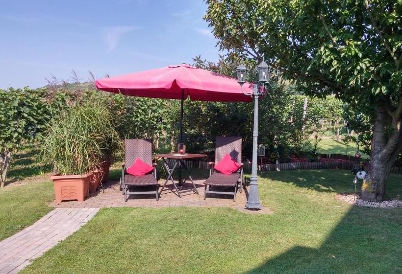 ペンション Ferienweinhaus Römer Knodt