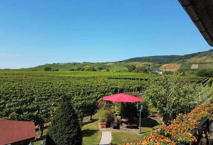 ペンション Ferienweinhaus Römer Knodt